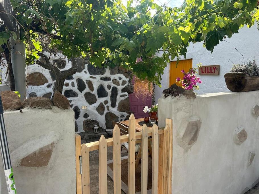 Lilly'S Finca - Romantischter Rueckzugsort - Pool ビラフロール エクステリア 写真