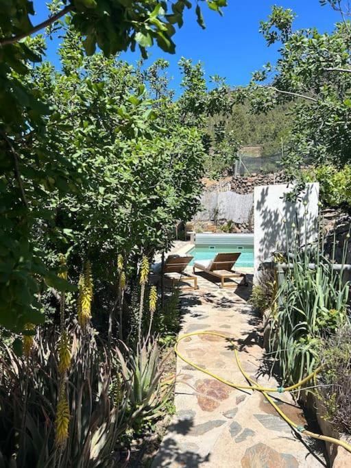 Lilly'S Finca - Romantischter Rueckzugsort - Pool ビラフロール エクステリア 写真