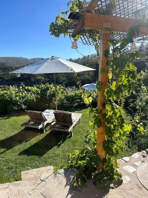 Lilly'S Finca - Romantischter Rueckzugsort - Pool ビラフロール エクステリア 写真