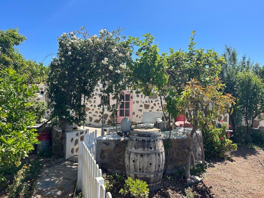 Lilly'S Finca - Romantischter Rueckzugsort - Pool ビラフロール エクステリア 写真