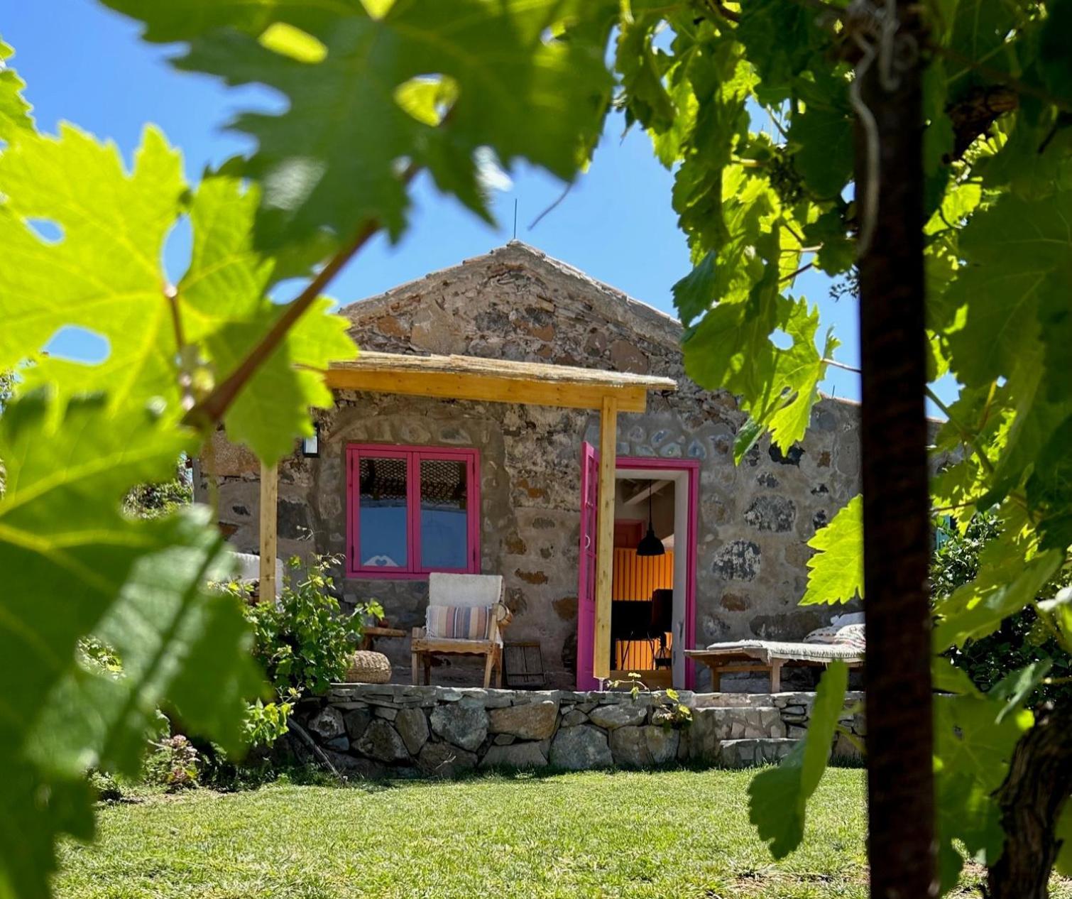 Lilly'S Finca - Romantischter Rueckzugsort - Pool ビラフロール エクステリア 写真